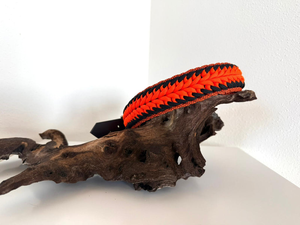 Swirl Hundehalsband