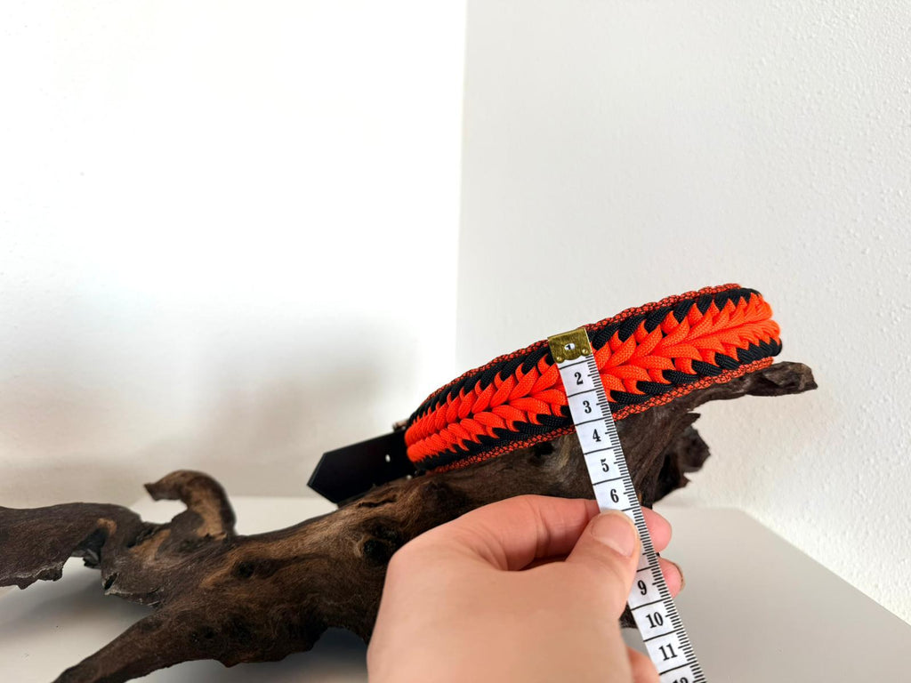 Swirl Hundehalsband