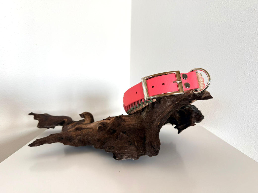 FlyingCookie Halsband