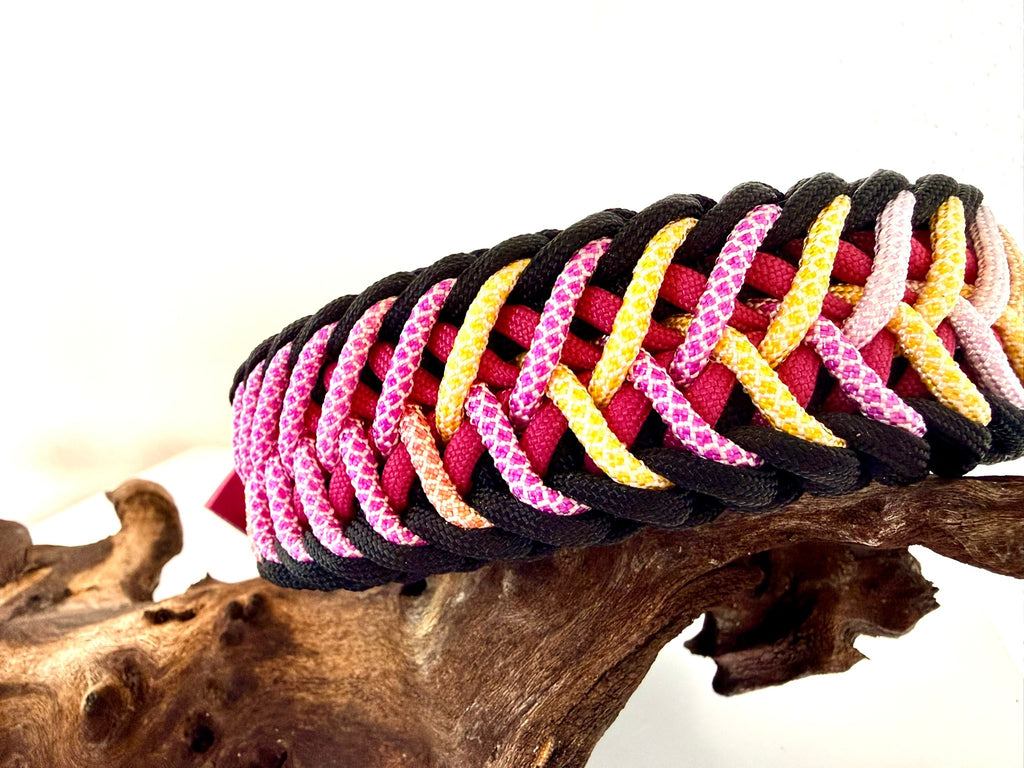 FlyingCookie Hundehalsband