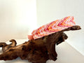 Valentine Halsband